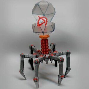 Cute Printed in Place Support Free Flexi Bacteriophage T4 is a beautifully desig